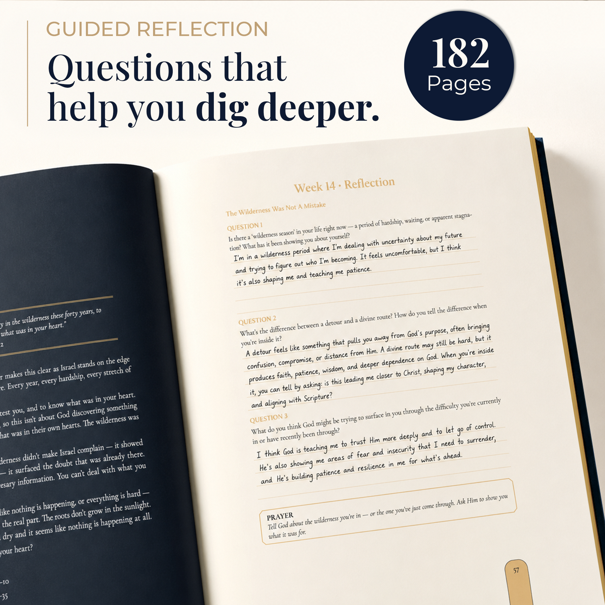 The Faith Journal – Bible in a Year